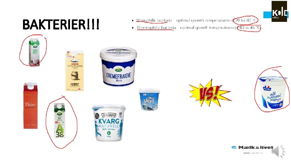 BAKTERIER!!! 