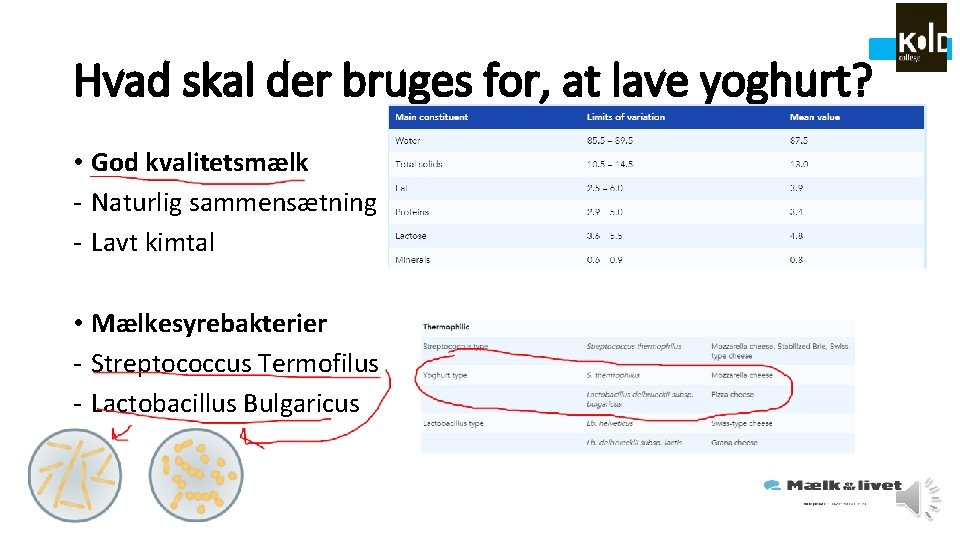 Hvad skal der bruges for, at lave yoghurt? • God kvalitetsmælk - Naturlig sammensætning