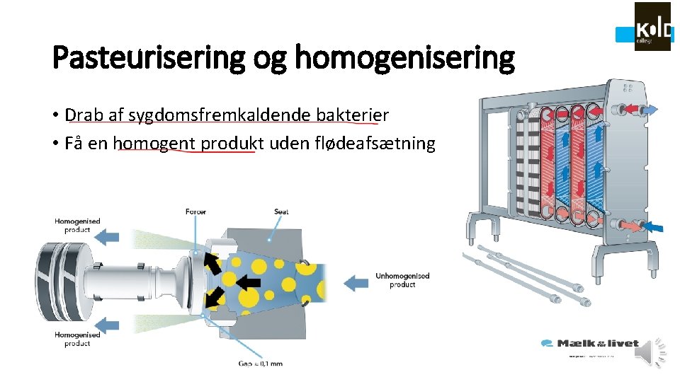 Pasteurisering og homogenisering • Drab af sygdomsfremkaldende bakterier • Få en homogent produkt uden