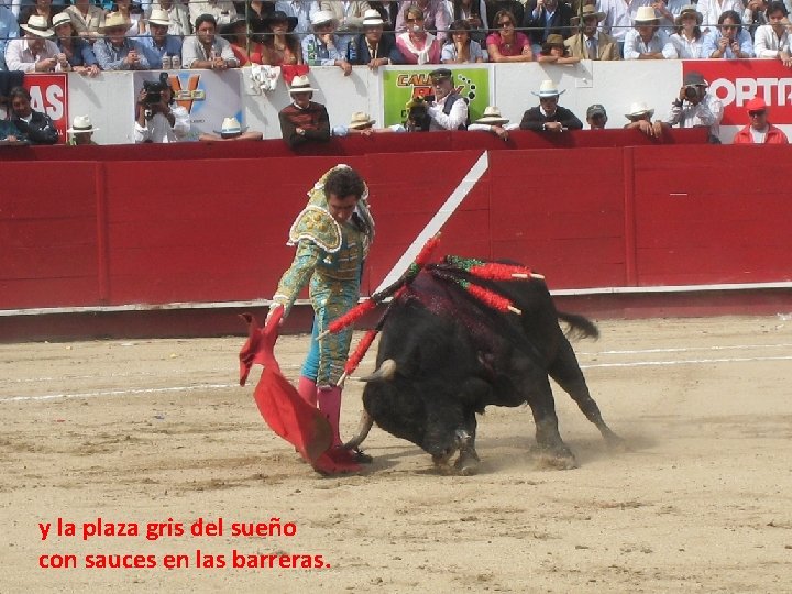 y la plaza gris del sueño con sauces en las barreras. y la plaza gris del sueño con sauces en las barreras.