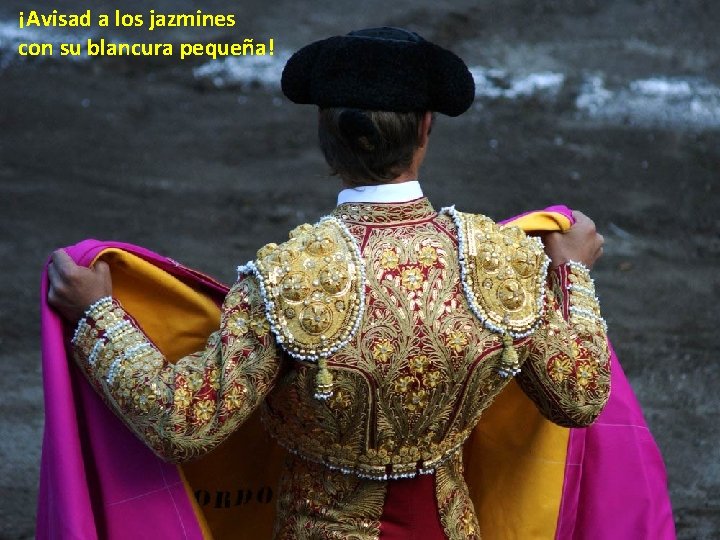 ¡Avisad a los jazmines con su blancura pequeña! ¡Avisad a los jazmines con su blancura pequeña!