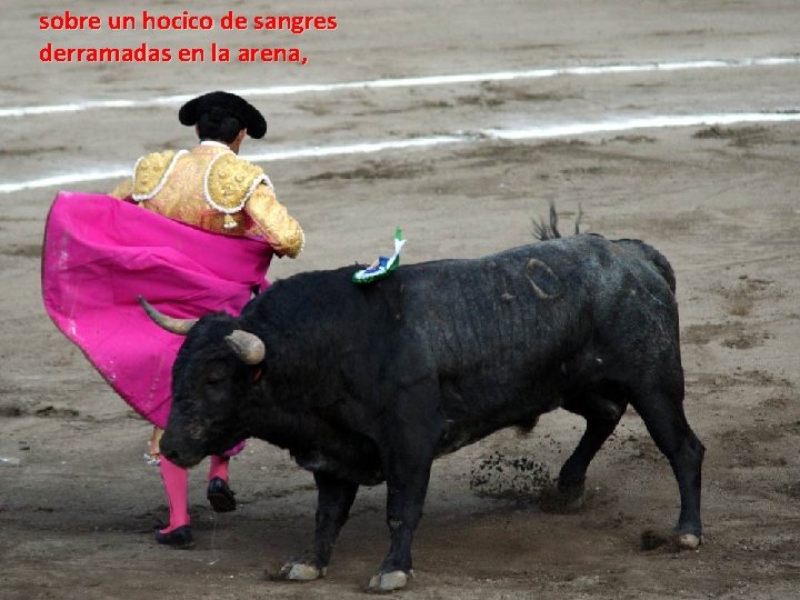 sobre un hocico de sangres derramadas en la arena, sobre un hocico de sangres derramadas en la arena,