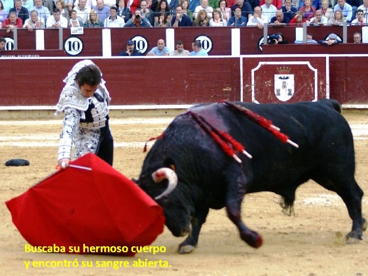 Buscaba su hermoso cuerpo y encontró su sangre abierta. Buscaba su hermoso cuerpo y encontró su sangre abierta.