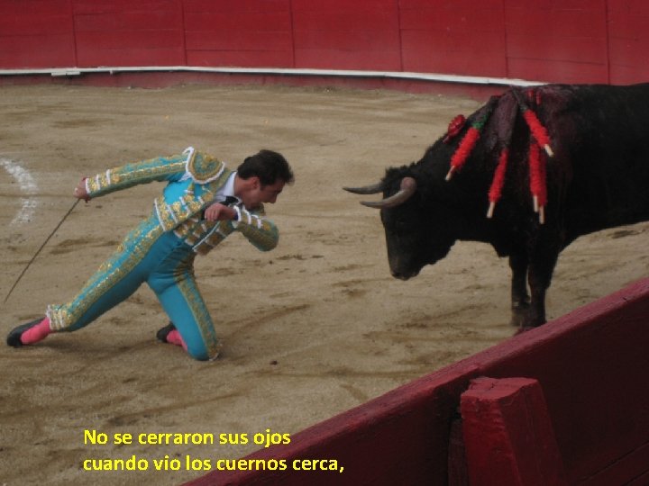 No se cerraron sus ojos cuando vio los cuernos cerca, No se cerraron sus ojos cuando vio los cuernos cerca,