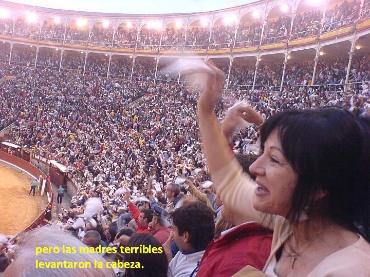 pero las madres terribles levantaron la cabeza. pero las madres terribles levantaron la cabeza.