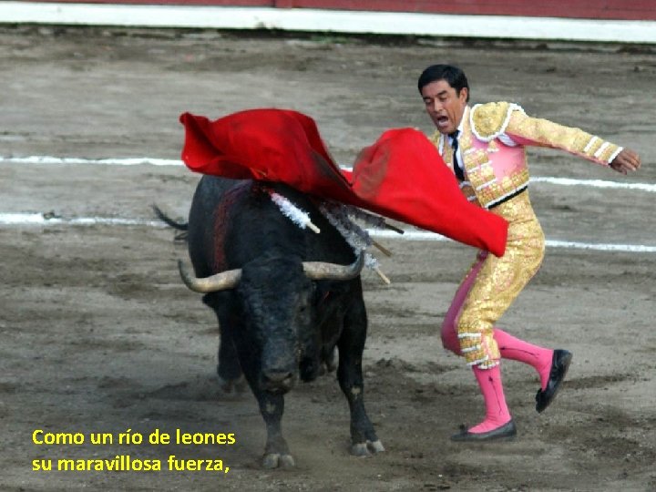 Como un río de leones su maravillosa fuerza, Como un río de leones su maravillosa fuerza,
