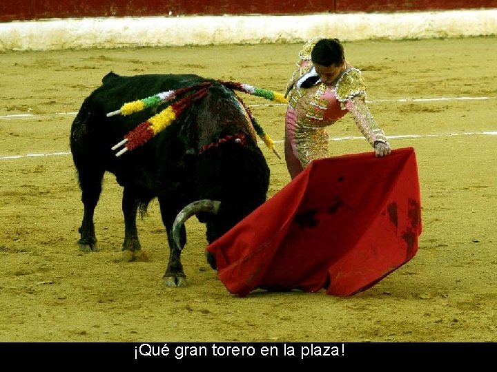¡Qué gran torero en la plaza! ¡Qué gran torero en la plaza!