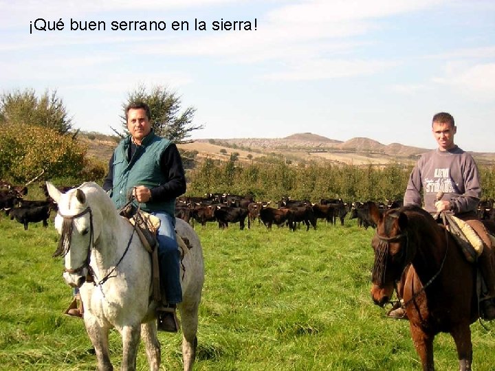 ¡Qué buen serrano en la sierra! ¡Qué buen serrano en la sierra!