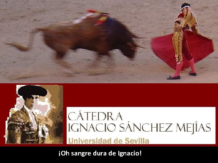 ¡Oh sangre dura de Ignacio! ¡Oh sangre dura de Ignacio!