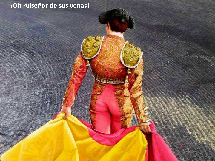 ¡Oh ruiseñor de sus venas! ¡Oh ruiseñor de sus venas!