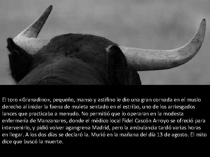 El toro «Granadino» , pequeño, manso y astifino le dio una gran cornada en El toro «Granadino» , pequeño, manso y astifino le dio una gran cornada en