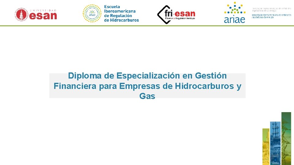 Diploma de Especialización en Gestión Financiera para Empresas de Hidrocarburos y Gas 