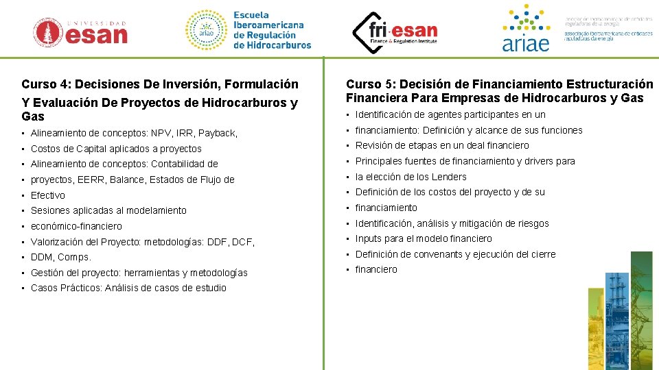 Curso 4: Decisiones De Inversión, Formulación Y Evaluación De Proyectos de Hidrocarburos y Gas