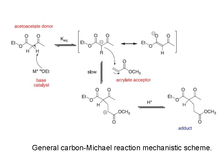 General carbon-Michael reaction mechanistic scheme. 