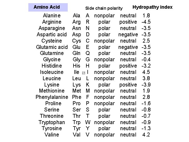 Amino Acid Alanine Arginine Asparagine Aspartic acid Cysteine Glutamic acid Glutamine Glycine Histidine Isoleucine