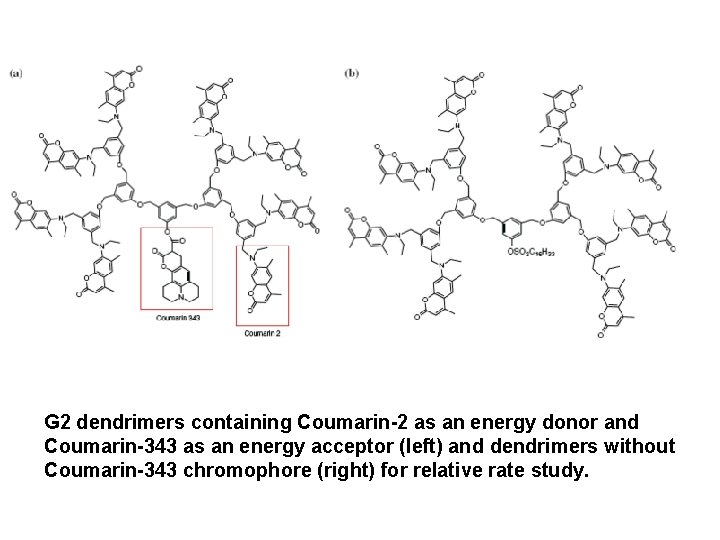 G 2 dendrimers containing Coumarin-2 as an energy donor and Coumarin-343 as an energy