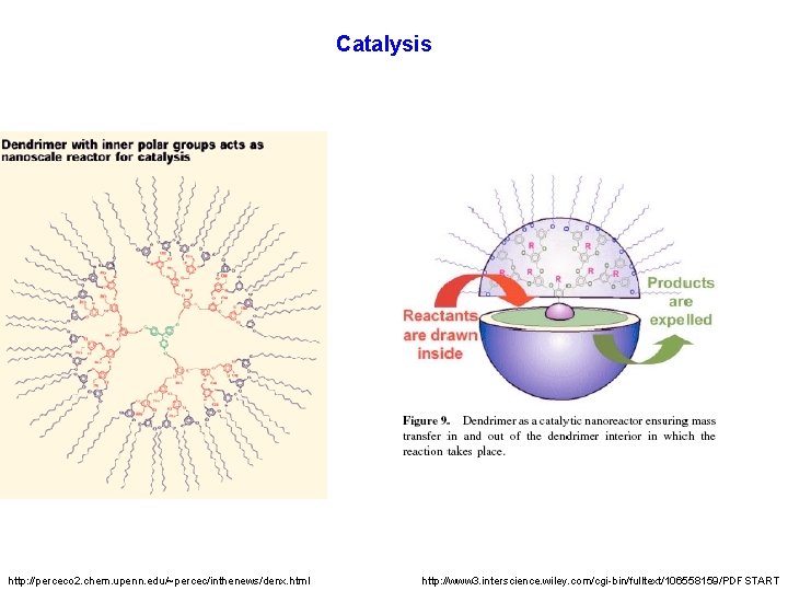 Catalysis http: //perceco 2. chem. upenn. edu/~percec/inthenews/denx. html http: //www 3. interscience. wiley. com/cgi-bin/fulltext/106558159/PDFSTART