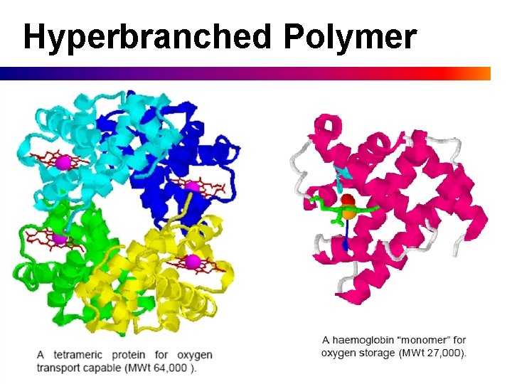 Hyperbranched Polymer Hyperbranched Polymer