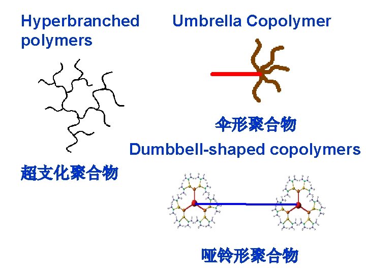 Hyperbranched polymers Umbrella Copolymer 伞形聚合物 Dumbbell-shaped copolymers 超支化聚合物 哑铃形聚合物 