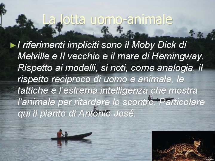 La lotta uomo-animale ► I riferimenti impliciti sono il Moby Dick di Melville e