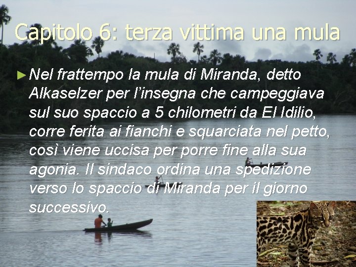 Capitolo 6: terza vittima una mula ► Nel frattempo la mula di Miranda, detto