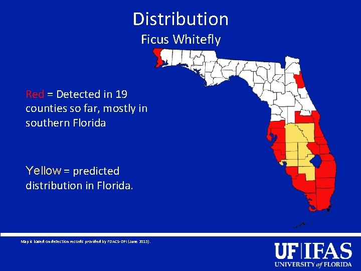 Distribution Ficus Whitefly Red = Detected in 19 counties so far, mostly in southern