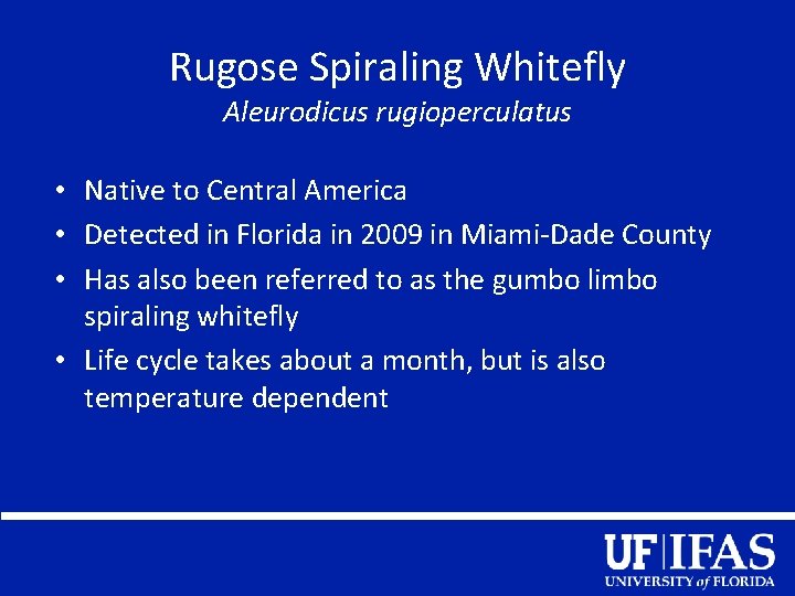 Rugose Spiraling Whitefly Aleurodicus rugioperculatus • Native to Central America • Detected in Florida
