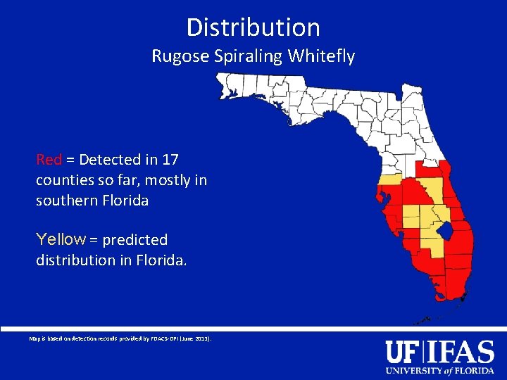 Distribution Rugose Spiraling Whitefly Red = Detected in 17 counties so far, mostly in