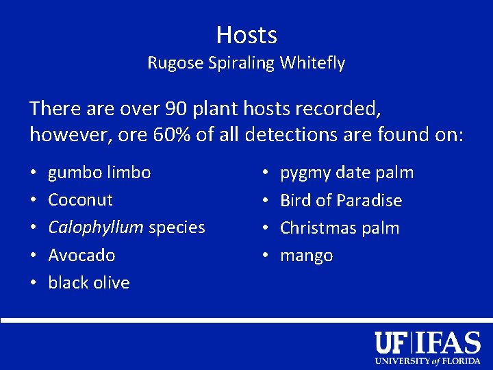 Hosts Rugose Spiraling Whitefly There are over 90 plant hosts recorded, however, ore 60%