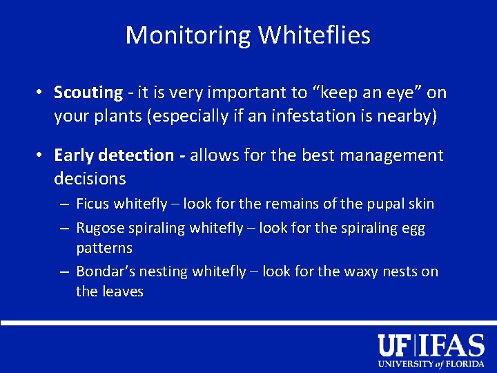 Monitoring Whiteflies • Scouting - it is very important to “keep an eye” on