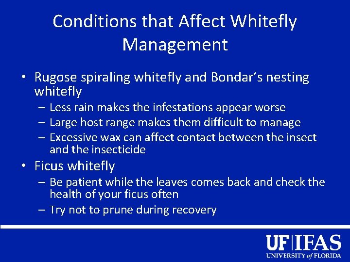 Conditions that Affect Whitefly Management • Rugose spiraling whitefly and Bondar’s nesting whitefly –