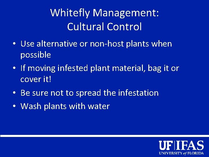 Whitefly Management: Cultural Control • Use alternative or non-host plants when possible • If