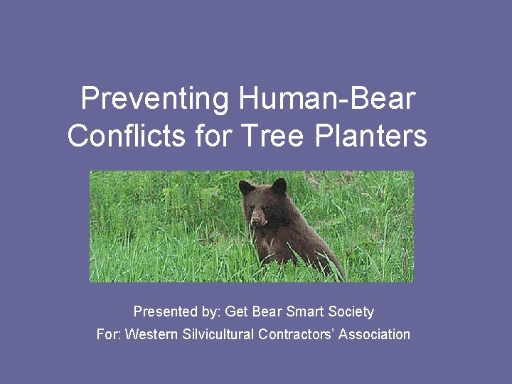 Preventing Human-Bear Conflicts for Tree Planters Presented by: Get Bear Smart Society For: Western