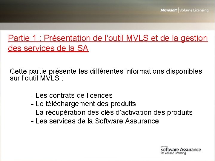 Partie 1 : Présentation de l’outil MVLS et de la gestion des services de