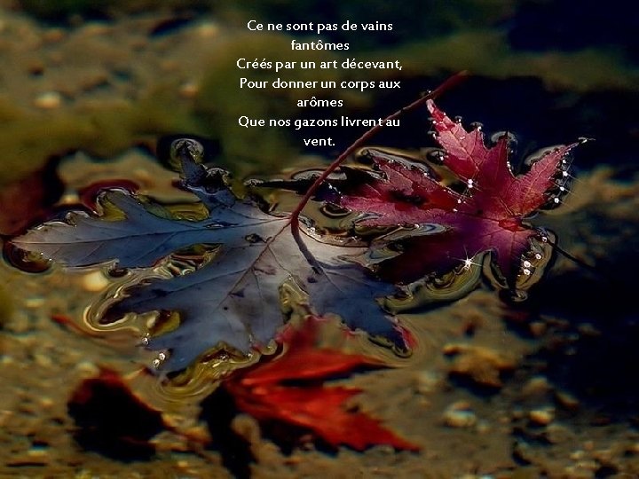 Ce ne sont pas de vains fantômes Créés par un art décevant, Pour donner