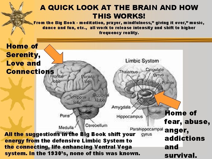 A QUICK LOOK AT THE BRAIN AND HOW THIS WORKS! From the Big Book
