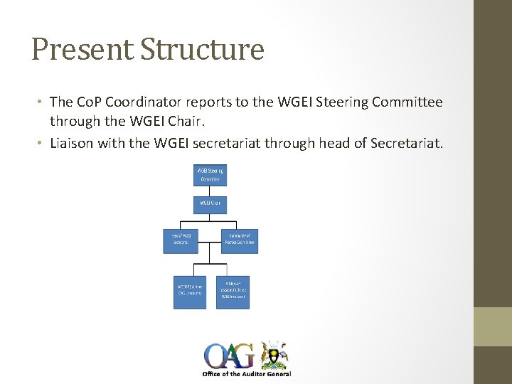 Present Structure • The Co. P Coordinator reports to the WGEI Steering Committee through