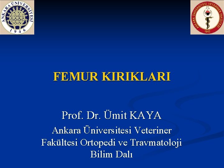 FEMUR KIRIKLARI Prof. Dr. Ümit KAYA Ankara Üniversitesi Veteriner Fakültesi Ortopedi ve Travmatoloji Bilim