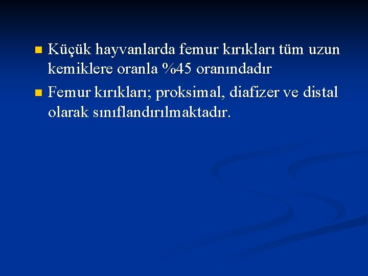 Küçük hayvanlarda femur kırıkları tüm uzun kemiklere oranla %45 oranındadır n Femur kırıkları; proksimal,