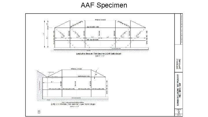 AAF Specimen SLIDE 8 