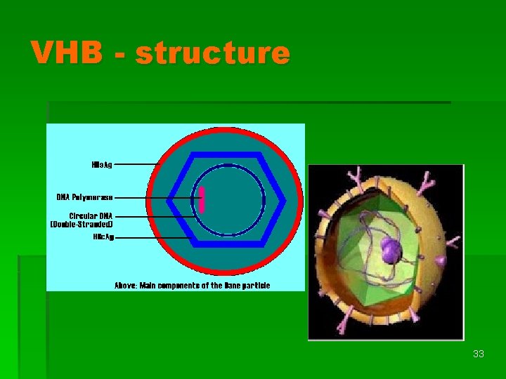 VHB - structure 33 