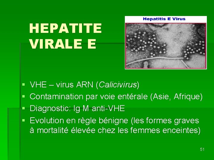 HEPATITE VIRALE E § § VHE – virus ARN (Calicivirus) Contamination par voie entérale