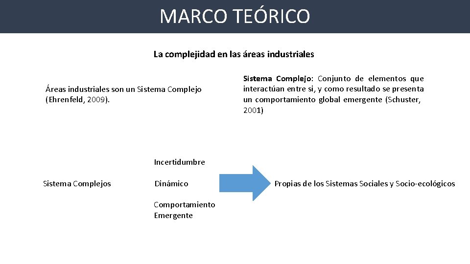 MARCO TEÓRICO La complejidad en las áreas industriales Áreas industriales son un Sistema Complejo