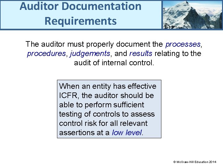 Auditor Documentation Requirements The auditor must properly document the processes, procedures, judgements, and results