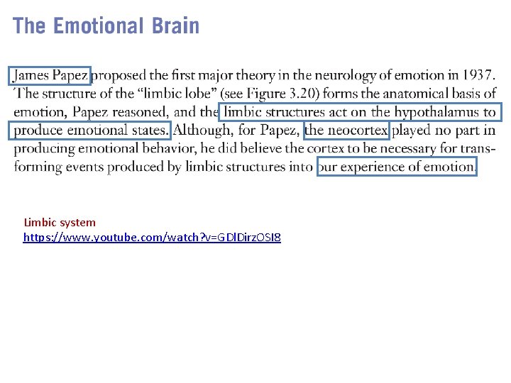 Limbic system https: //www. youtube. com/watch? v=GDl. Dirz. OSI 8 Limbic system https: //www. youtube. com/watch? v=GDl. Dirz. OSI 8