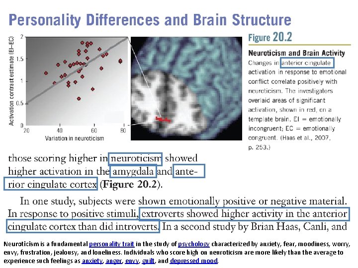 Neuroticism is a fundamental personality trait in the study of psychology characterized by anxiety, Neuroticism is a fundamental personality trait in the study of psychology characterized by anxiety,