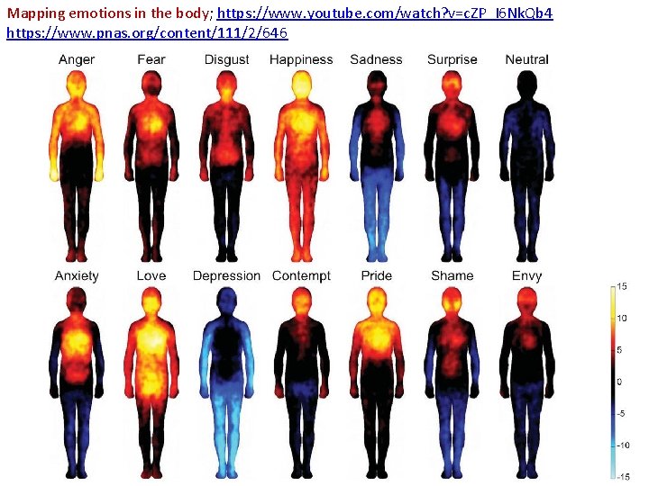Mapping emotions in the body; https: //www. youtube. com/watch? v=c. ZP_I 6 Nk. Qb Mapping emotions in the body; https: //www. youtube. com/watch? v=c. ZP_I 6 Nk. Qb