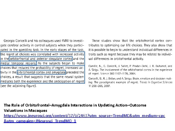 The Role of Orbitofrontal–Amygdala Interactions in Updating Action–Outcome Valuations in Macaques https: //www. jneurosci. The Role of Orbitofrontal–Amygdala Interactions in Updating Action–Outcome Valuations in Macaques https: //www. jneurosci.