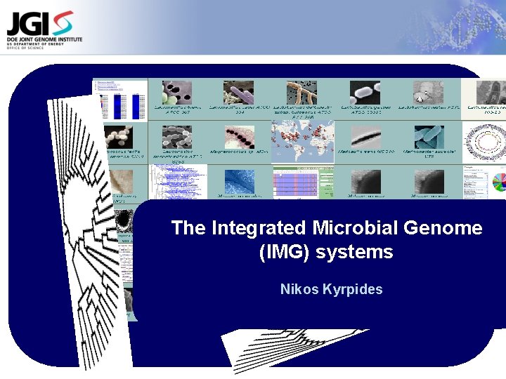 The Integrated Microbial Genome (IMG) systems Nikos Kyrpides 