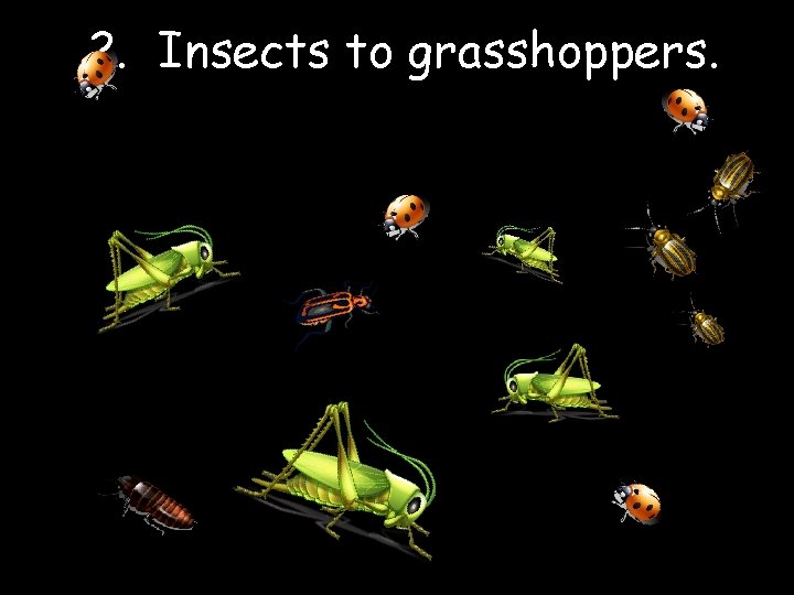 2. Insects to grasshoppers. 